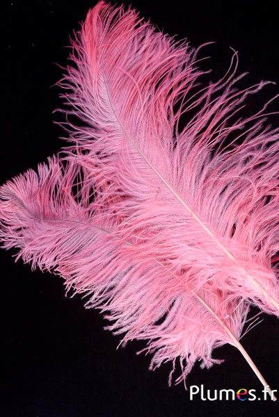 300 Piume D'Oca Colorate 3-5 Pollici - Rosa/Fucsia Per Artigianato E Decorazioni - Foto 6