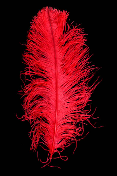 Piume colorate, 100 piume naturali, ideali per fai da te, per matrimoni, acchiappasogni, costumi, cappelli, decorazioni per la casa, feste di Halloween, colore: giallo