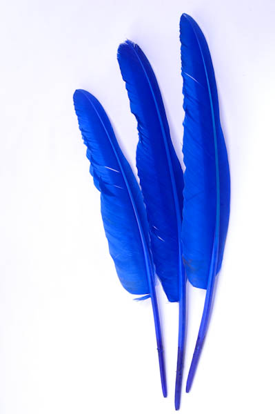 30 Piume Di Struzzo Naturali - 30-35 Cm, Bianche, Per Decorazioni, Matrimoni, Artigianato, Centrotavola