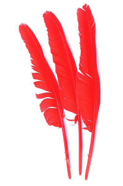 HAPINARY 12 Pezzi Piume Decorative Fai da Te