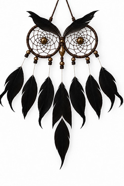 Petalo arricciato calamo argentato - 7-10 x 1-2 cm - bianco-nero naturale