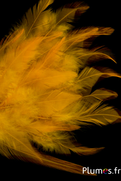 4-7 Pollici Giallo Arancio Blu MagiDeal 150 Pezzi Colorate Piume di Gallo Tinte 12-18 Cm