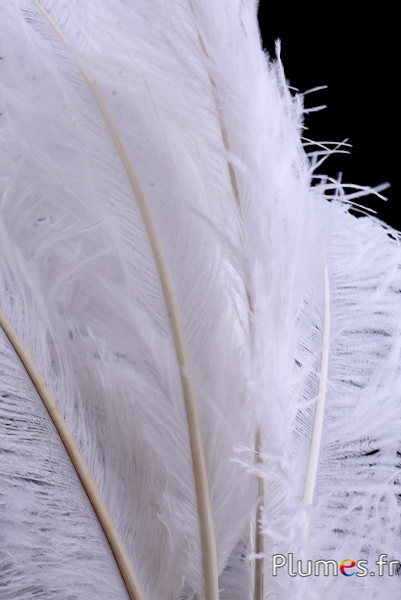 Cesto Di Fiori Per Ragazze Da Sposa, Piume Di Struzzo Artificiali Petali Di Pizzo Cestini Di Fiori Da Sposa Occidentali Per Accessori Per L 94866616