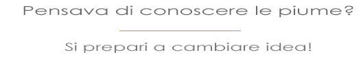 Pensavate di conoscere le piume decorative? Preparatevi a cambiare idea.